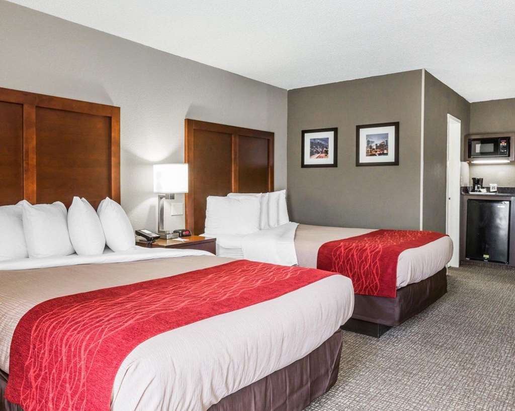 Comfort Inn Sandy Springs - Perimeter Pokoj fotografie